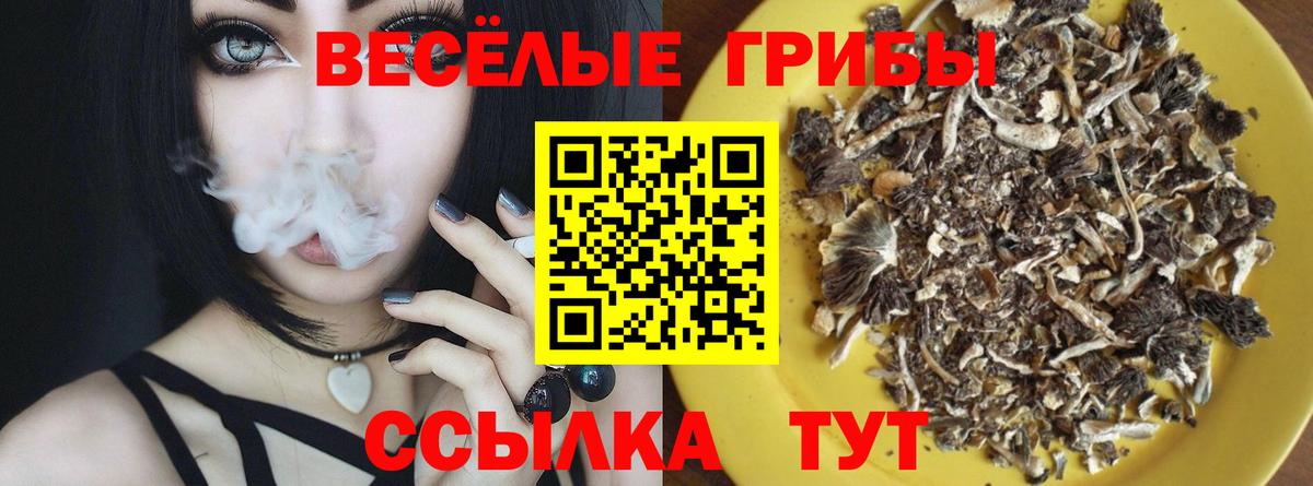 Тельмана  Псилоцибиновые грибы Magic Shrooms  Галлюциногенные грибы GOLDEN TEACHER  Вход с VPN 