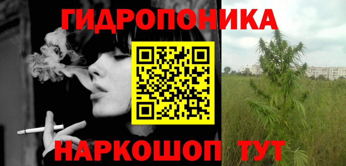 Тельмана  Конопля ГИДРОПОН  Вход с VPN  Каннабис Bruce Banner  Канабис индика  Бошки Шишки сатива 